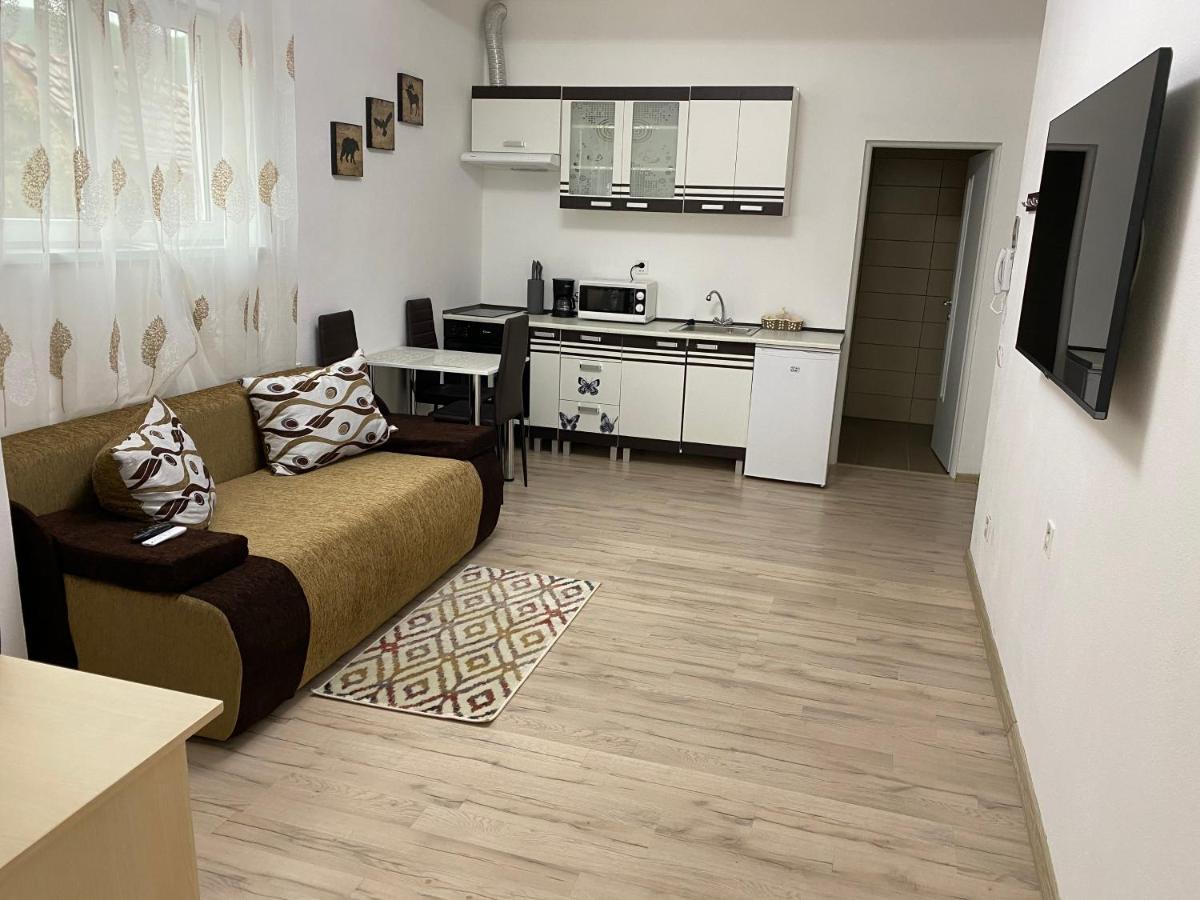 Centralhome Ap1 Sighişoara Exterior foto