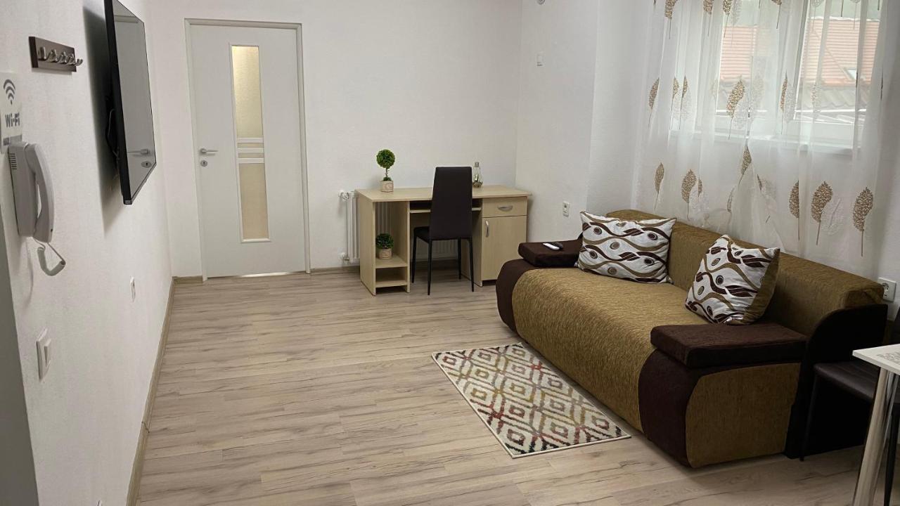 Centralhome Ap1 Sighişoara Exterior foto